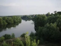 ока.webp