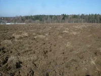 SDC10003.webp