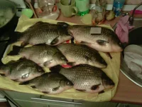 IMG_11192012_003748.webp