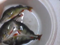 Snapshot_20121126.webp