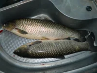 DSCN1898.webp