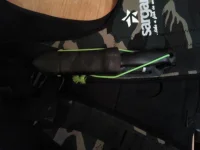 2012-11-29 22.01.01.webp