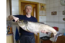 DSC00995.webp