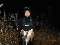 SSCN0113.webp