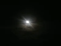 2012-12-01-415.webp
