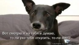 dadd0daabf2da2b91b644880124667b5.webp
