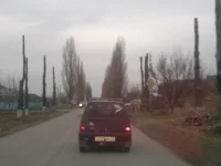 2012-12-03-431.webp