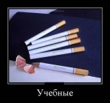 91d3b32dc49bda1e2a3418f819ff979a.webp