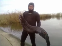 прикол 002.webp