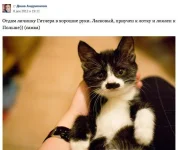 post-3-13553070591185.webp