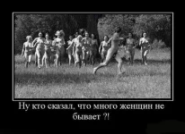 getImage (12).webp