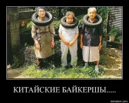 getImage9.webp
