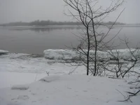 IMG_0056.webp