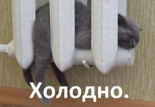 аааааа10.webp