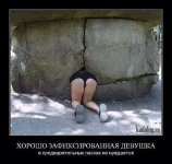 getImage (2).webp