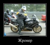 d5c57fa79fadf1532b0ffeaf523332b2.webp