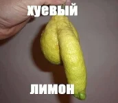 getImage151.webp