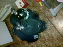 IMG_20121224_075158.webp