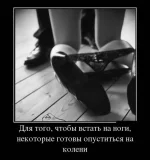 fe3de2179a517b267038607d86fb6c3e.webp