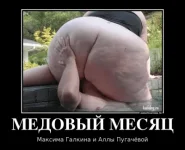 07.webp