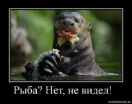 bd9oubduSxM К.webp