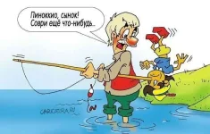 роа.webp
