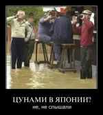 р6е7нп.webp