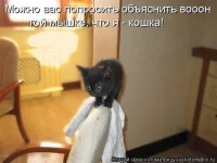 0YR3ANkzEso.webp