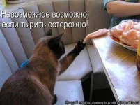 7y6S21KJ9Zs.webp