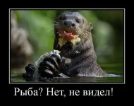 bd9oubduSxM К.webp