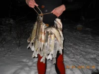 DSCN5.webp