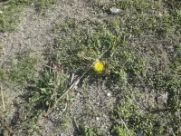 DSC03275.webp