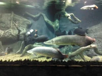 IMG_20130110_103850.webp
