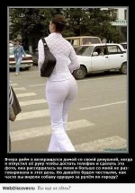 к76р8о.webp
