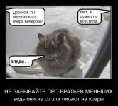320.webp