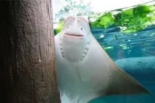 4a23e6613ddbf.webp