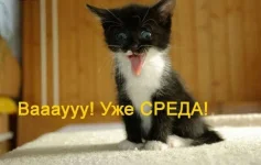 0f89a213ee.webp
