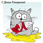др.webp
