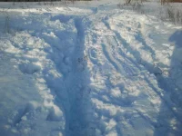 2013-02-02 17.04.00.webp