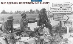 getImage (12).webp