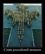 135993252539519.webp