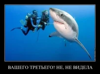 s3img_146634562_11524_1.webp