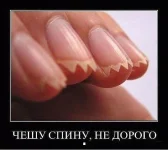 getImage (3).webp