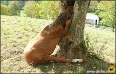 Foto02.webp