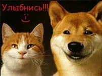 i (2).webp
