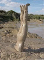 Foto15.webp
