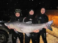 амурчик.webp