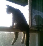 getImage (28).webp