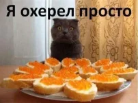 543604_478626418851829_722873204_n.webp