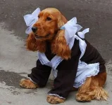 getImage (32).webp
